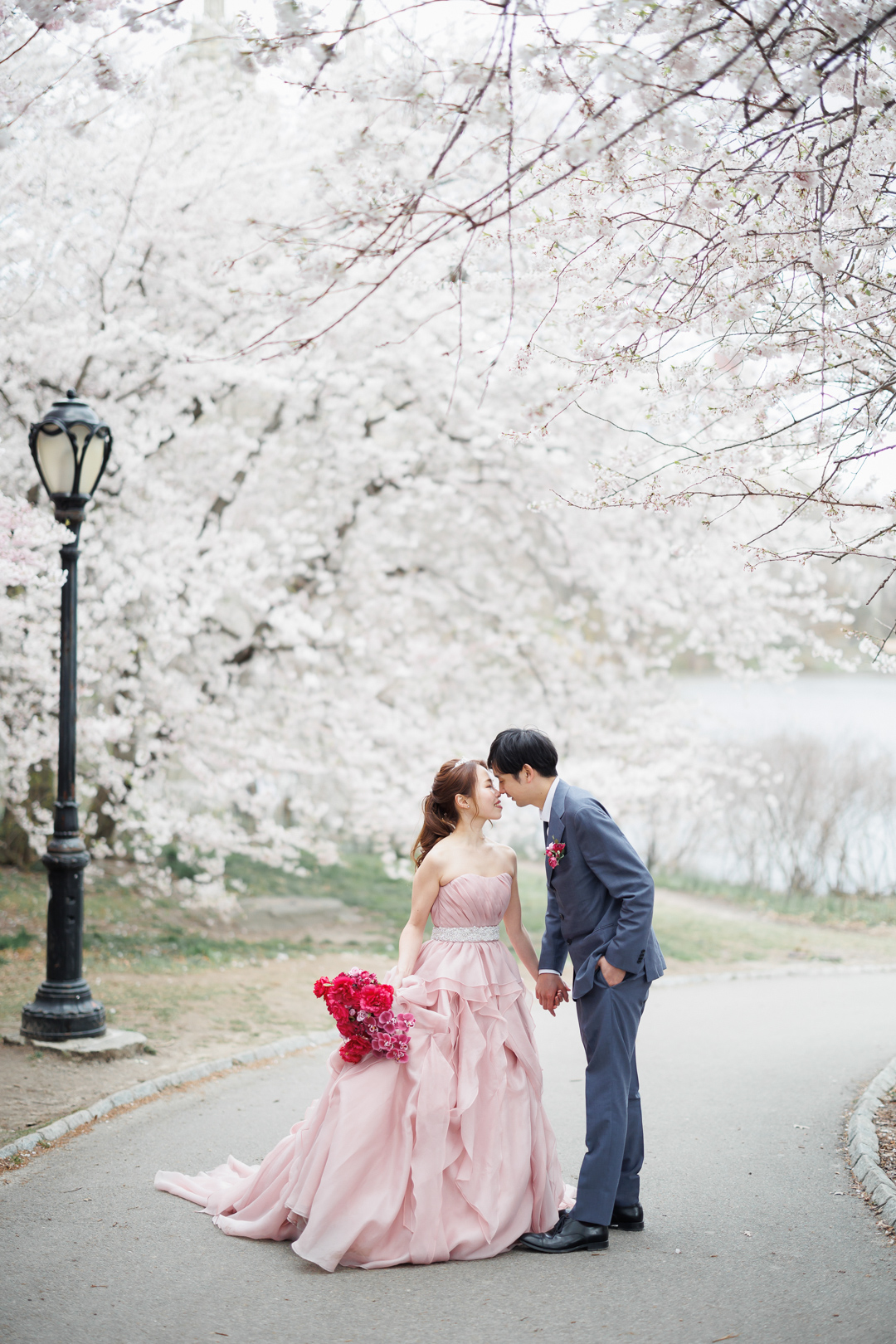 ニューヨークの後撮り/フォトウェディング｜チェリーヒルの満開の桜並木に立つ花嫁と花婿