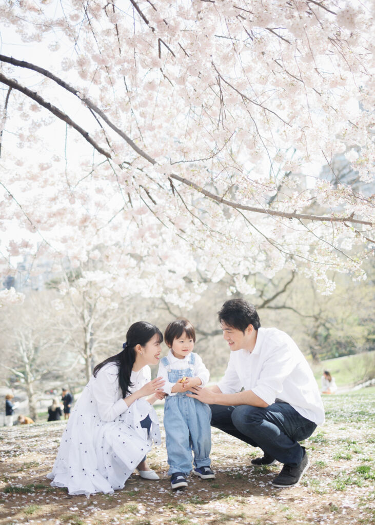 ニューヨークのファミリーフォト/ピルグリムヒルの桜の木の下で2歳の男の子とパパ、ママの3人家族。