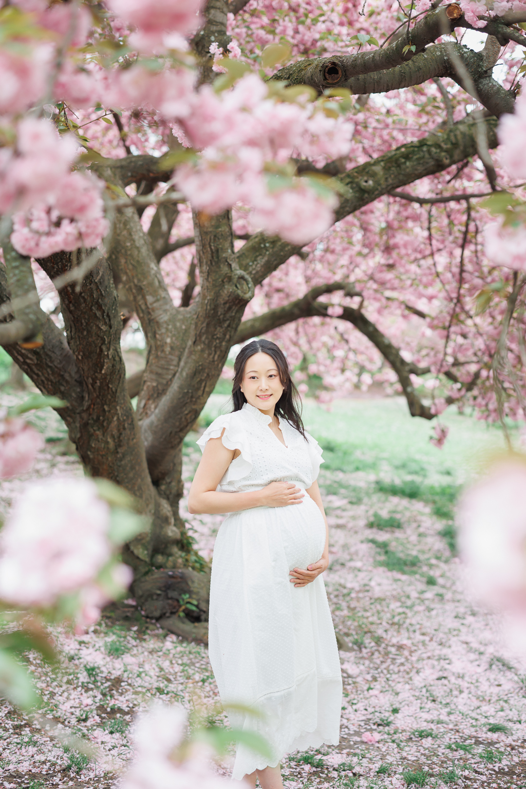 ニューヨークのマタニティフォト|頭の上には満開の桜。