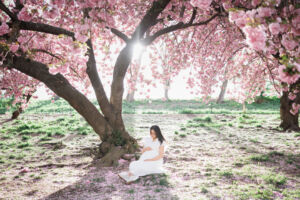 ニューヨークのマタニティフォト|満開の八重桜の木の下に座る妊婦。
