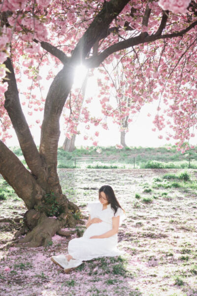 ニューヨークのマタニティフォト|満開の八重桜の木の下に座る妊婦。