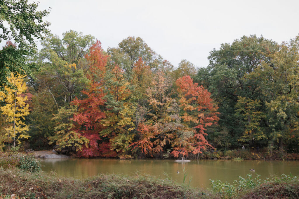 ニューヨークでウェディングフォト|前撮り/ボウブリッジからの景色。