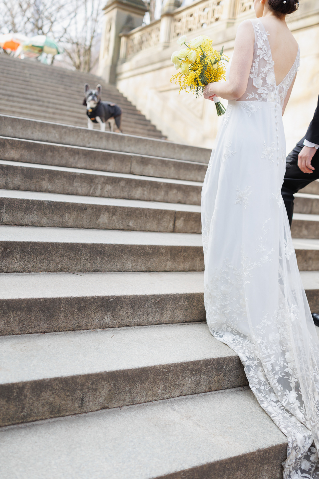 ニューヨークでウェディングフォト|前撮り/大階段にはワンコの案内人。